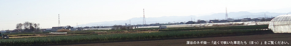 一級建築士事務所　榊住建