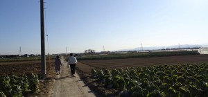 fukaya1