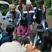 埼玉の山の木を見に行こう！画像