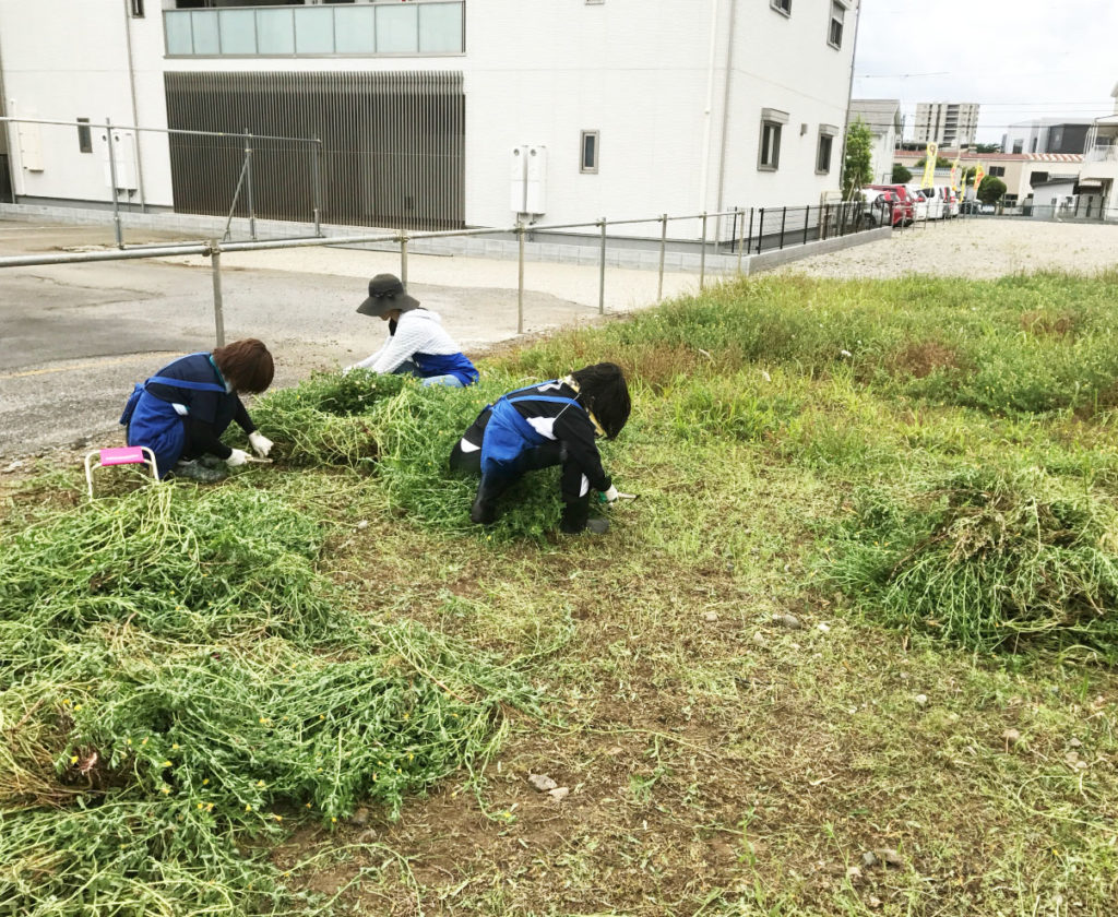 くらしのサポート　～草むしり～