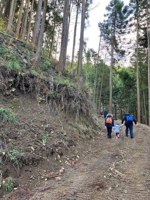 「東庭を望む家」～大黒柱の伐採へ～