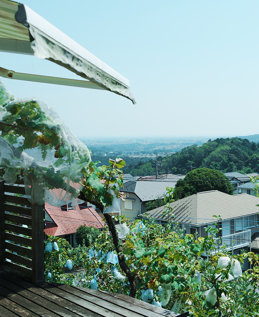 この家と、もう一度始めてみる。<br>—23年後に気づいた暮らしのかたち。