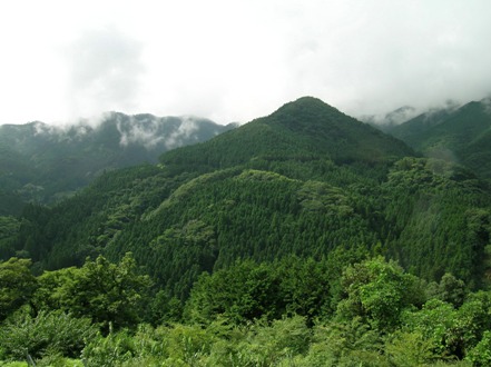 埼玉県産木材