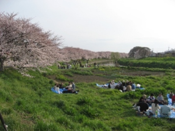 週末の花見