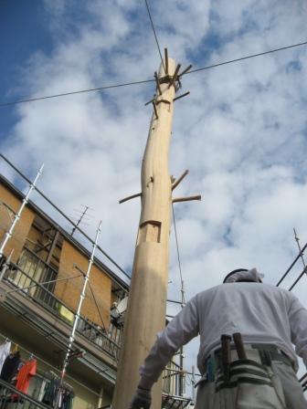 『木形の敷地に建つツリーハウス－デザイン住宅』～さいたま市Ｆ邸　上棟しました～