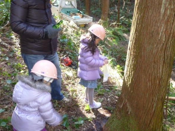 『大きな庇と縁側のある家』～大宮区 T邸～設計について