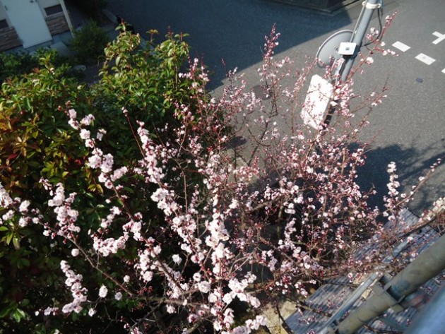 足場の上からの景色